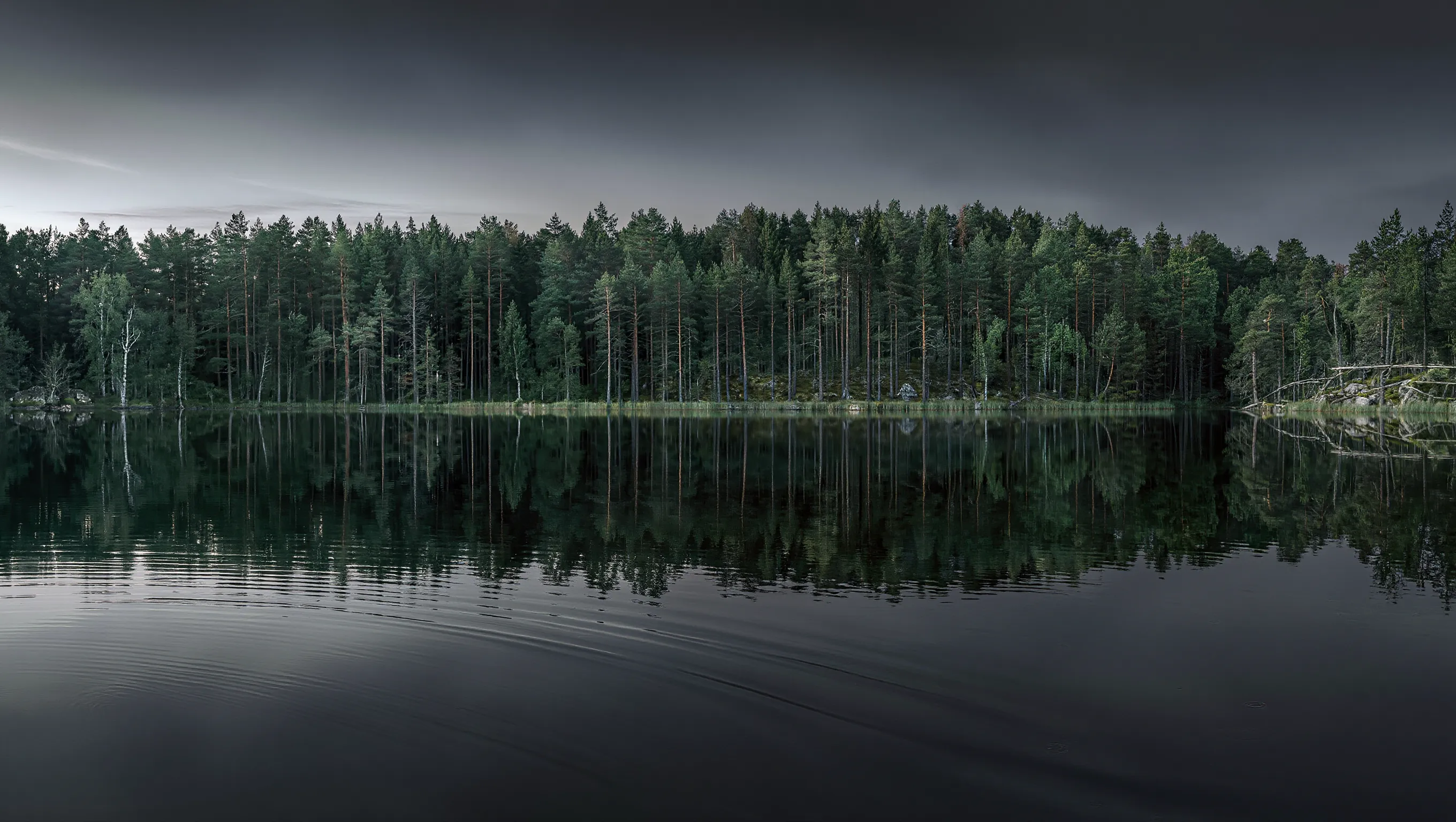 Wilderio — wild stays in the Baltics