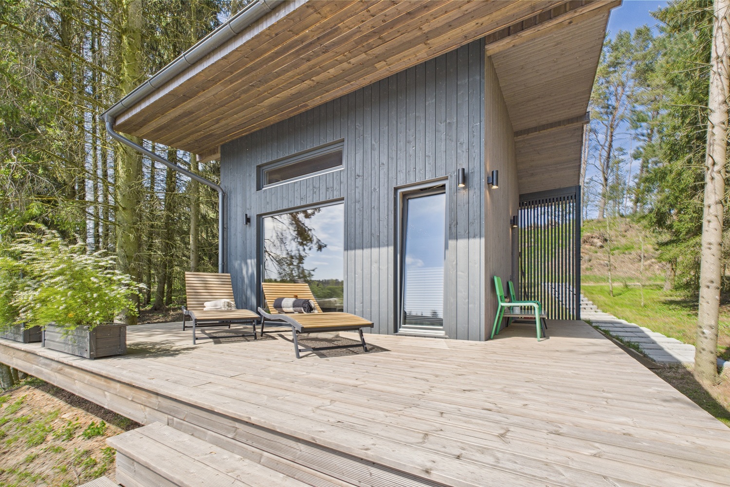 Namiņš kokā — photo 4