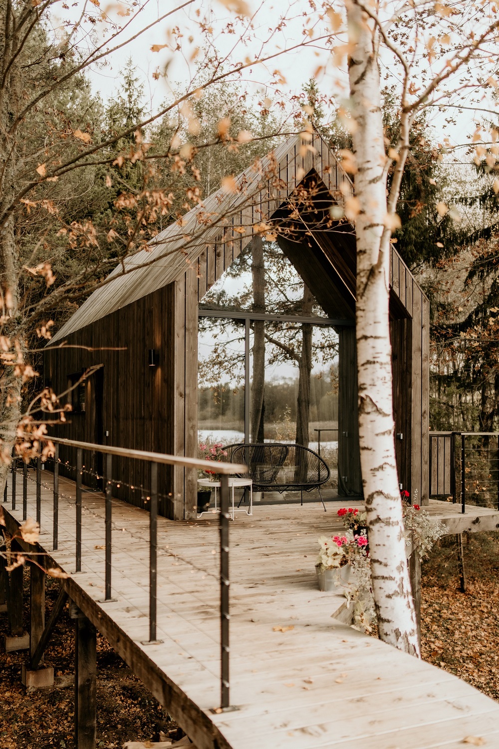 Ezera namiņš — photo 5