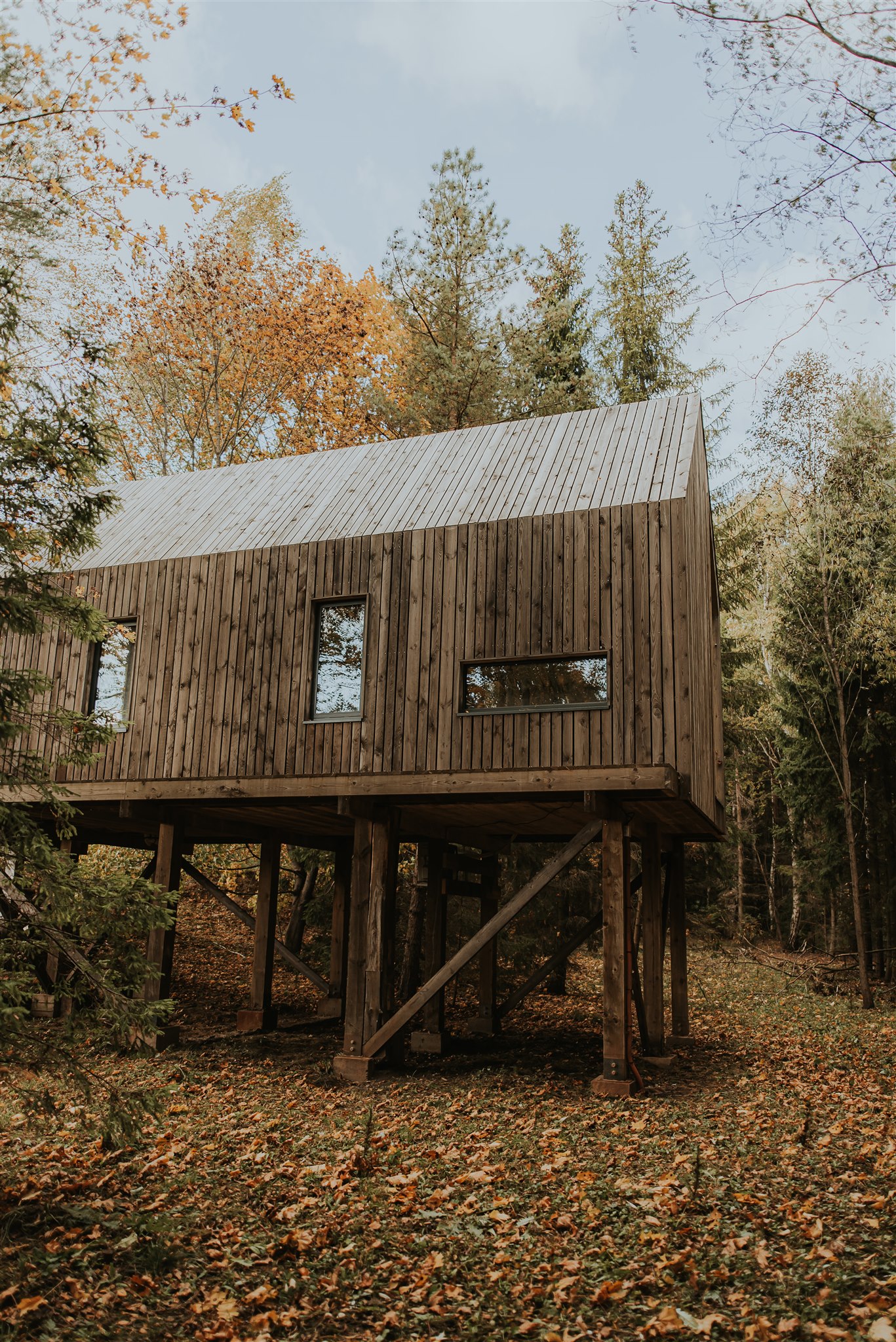 Ezera namiņš — photo 2