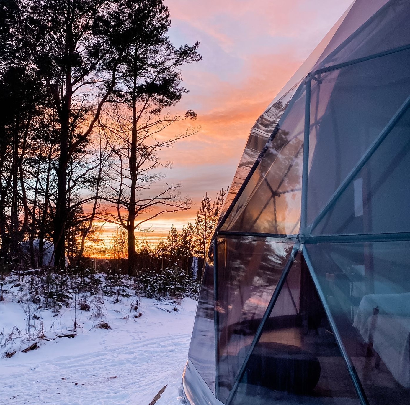 Forest Domes — photo 3