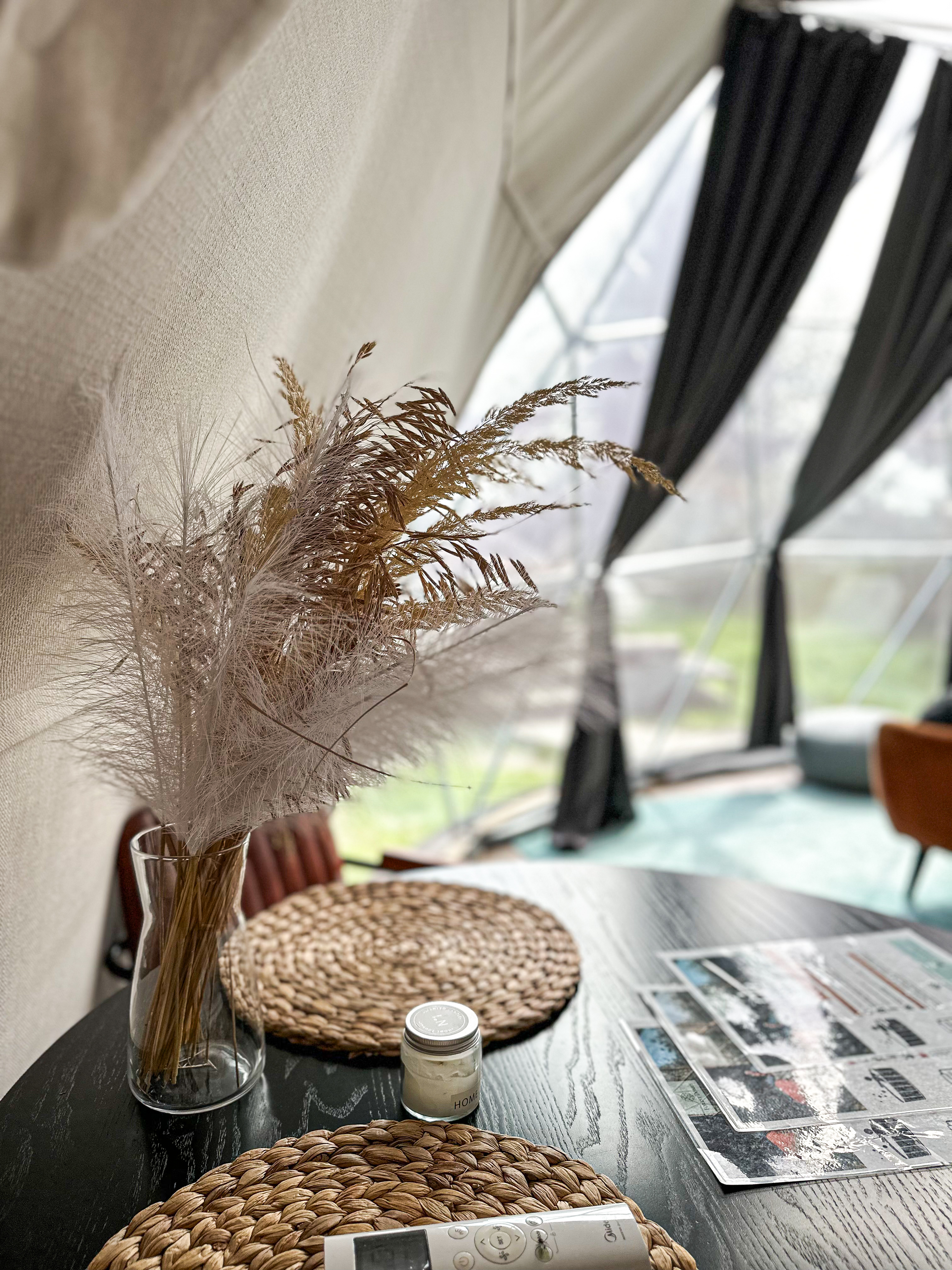 Forest Domes — photo 4