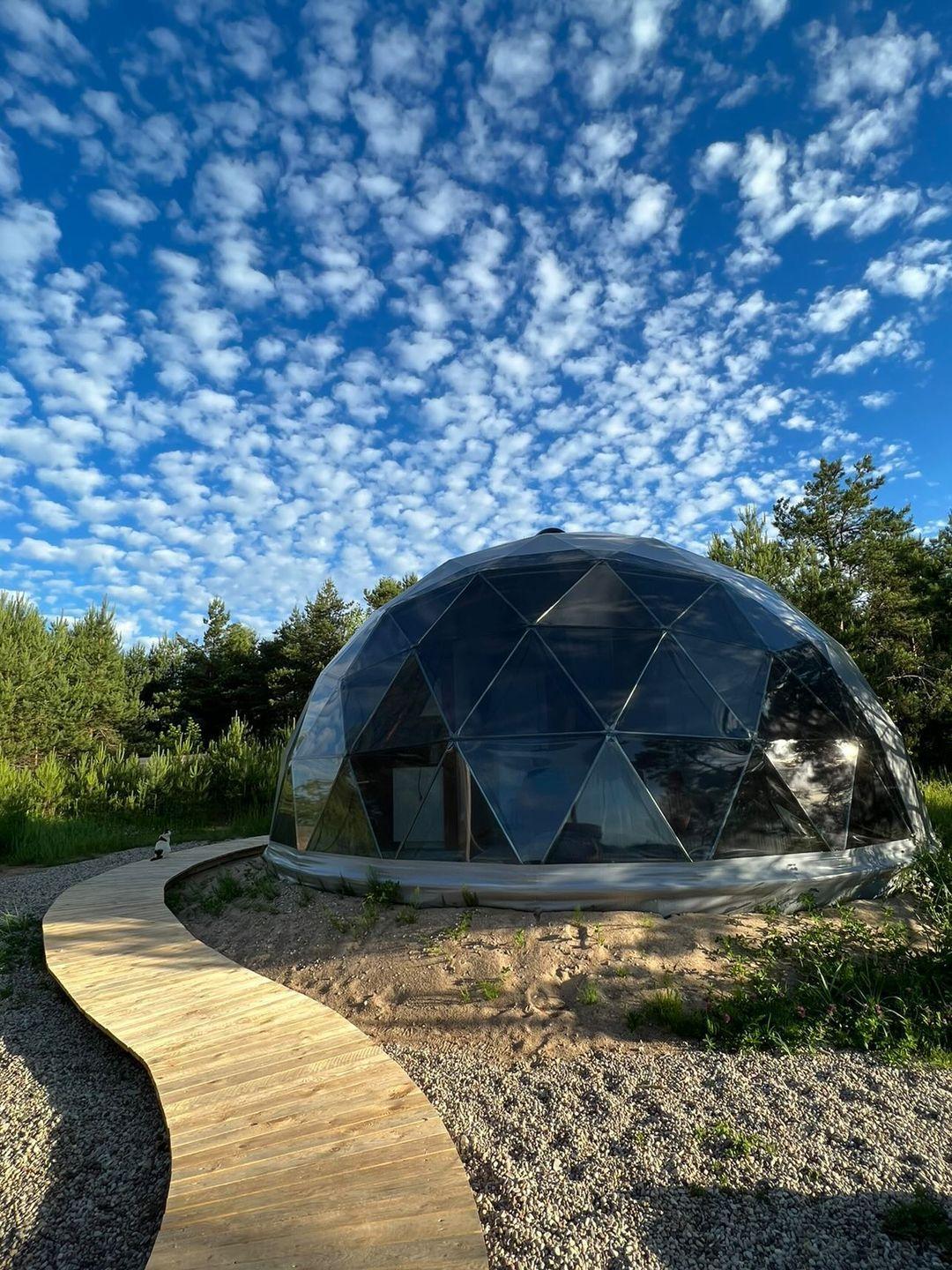 Forest Domes — photo 5