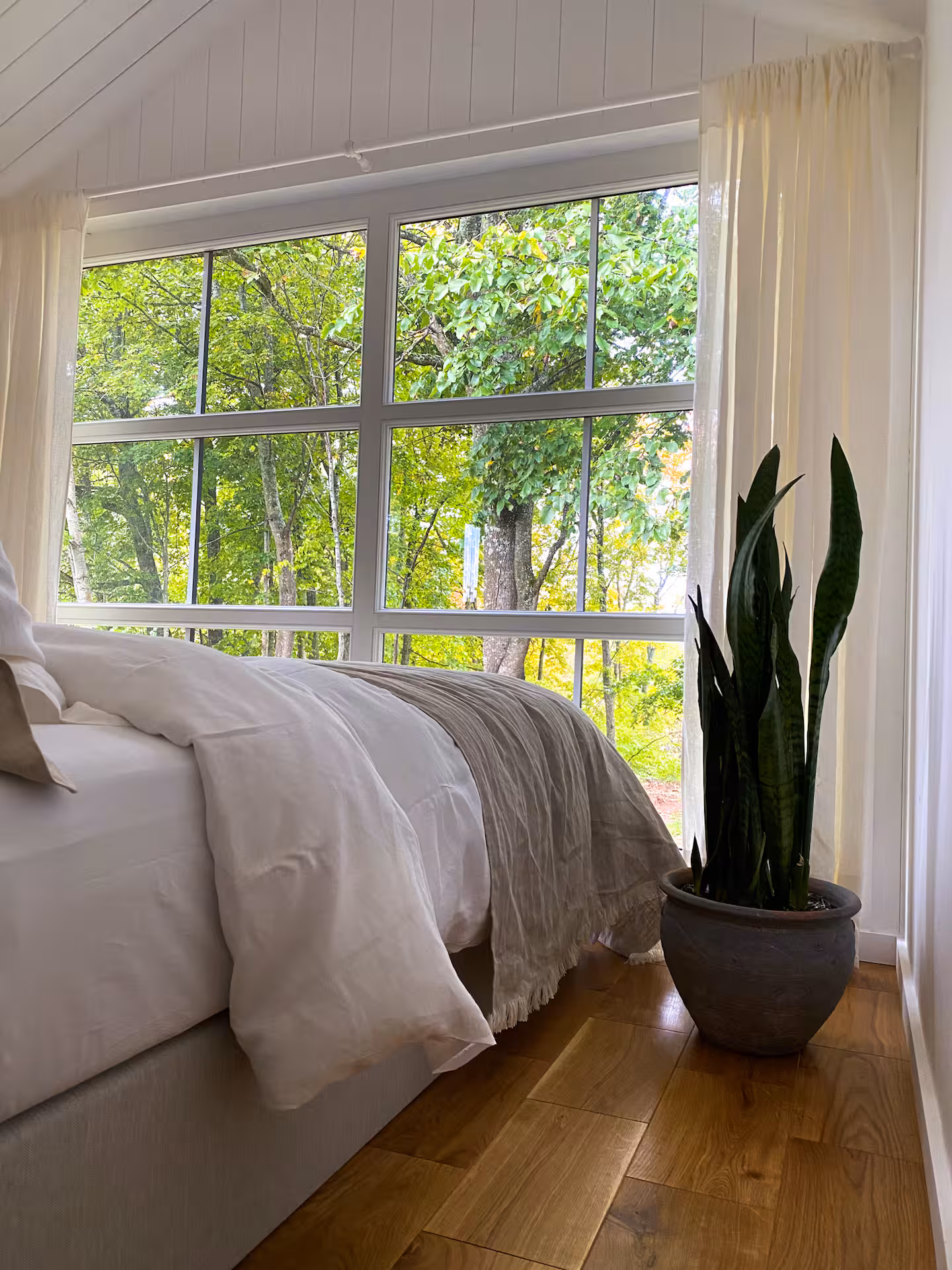 Ragnar Glamp Koknese — Design Hotel — photo 3